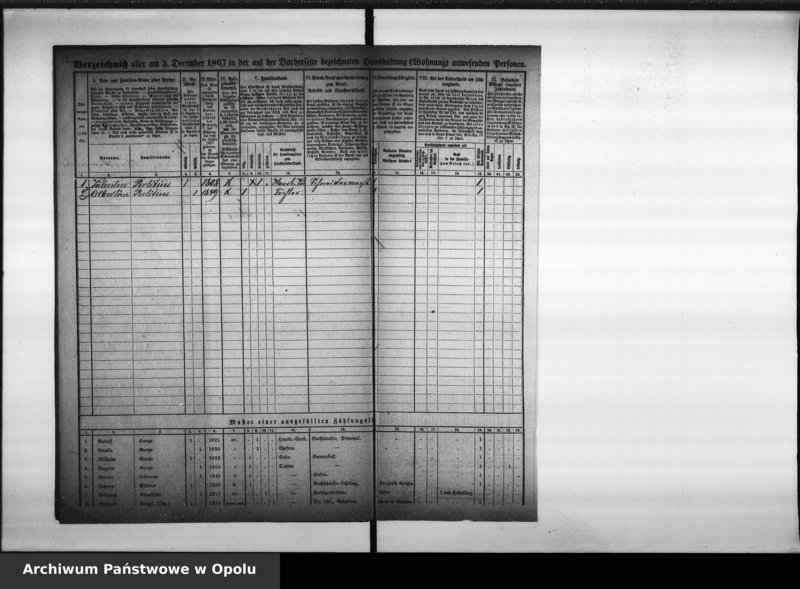 Obraz 14 z jednostki "[Okręg spisowy Nr 30. Spis ludności, 3 XII 1867]"