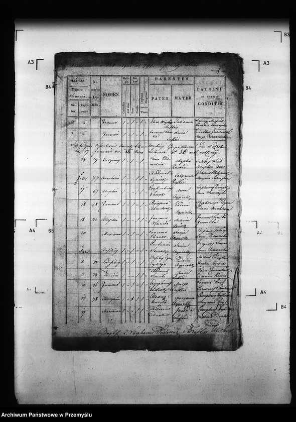 Obraz 5 z jednostki "[Kopie ksiąg metrykalnych parafii Ulicko (dekanat Niemirów)]"