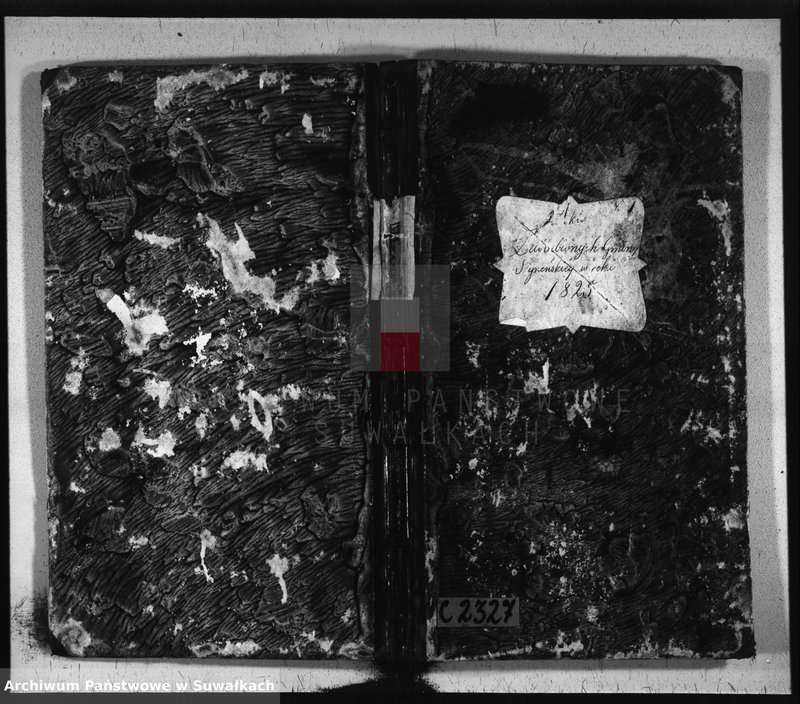 image.from.unit.number "Akta zaślubionych gminy seyneńskiey w roku 1825."