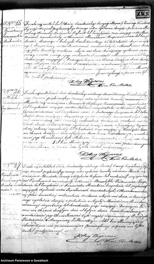 Obraz 14 z jednostki "D.L. P. Metel 1858"