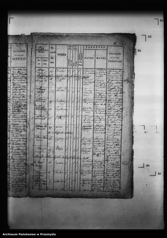 image.from.unit.number "[Kopie ksiąg metrykalnych parafii Borszowice z filiami Bybło, Paćkowice (dekanat Niżankowice)]"