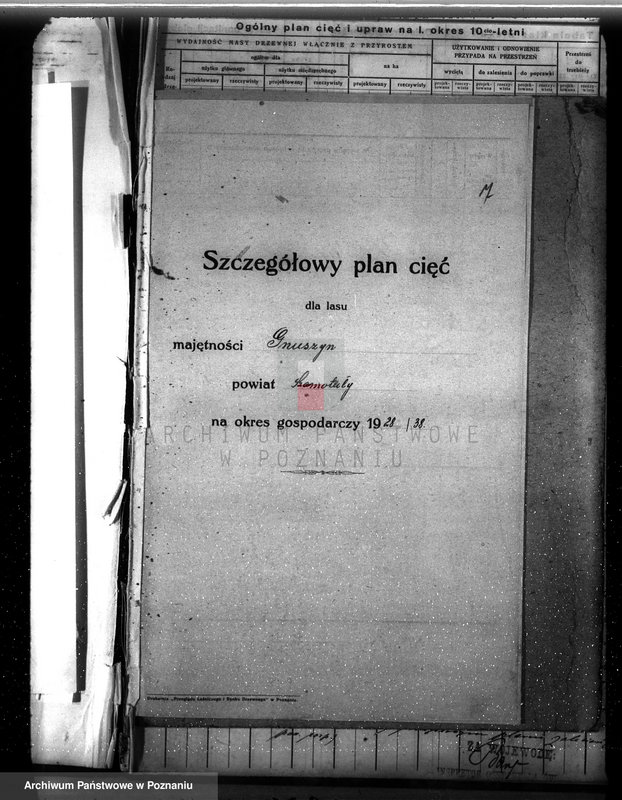 Obraz 11 z jednostki "Dodatkowy plan urządzenia gospodarstwa leśnego dla lasu majętności Grzuszyn powiat szamotulski 1937-1938"