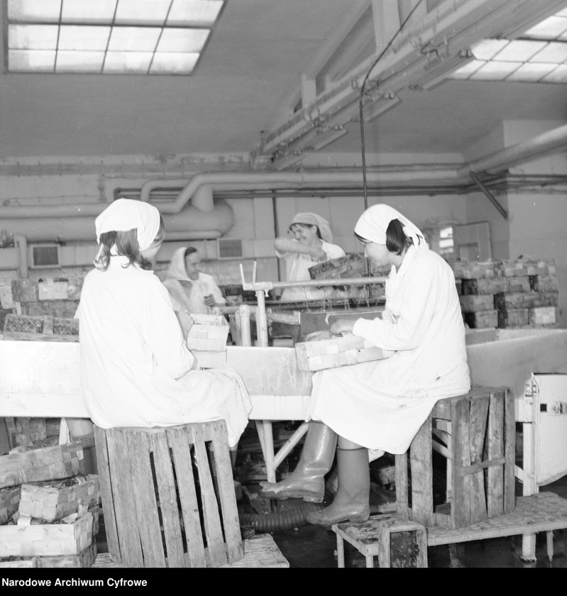 image.from.unit.number "Zakład produkcyjny Przedsiębiorstwa Handlu Zagranicznego "Hortex" w Górze Kalwarii"