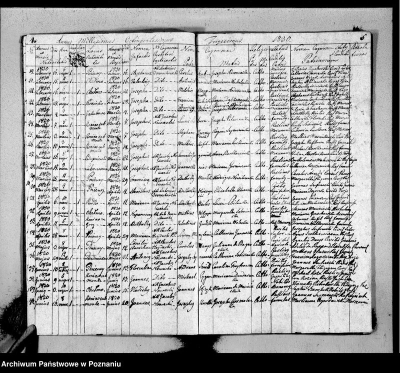 Obraz 5 z jednostki "Duplicat baptisatorum, copulatorum, mortuorum"