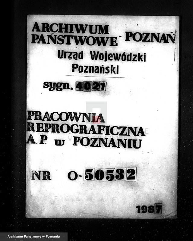Obraz 1 z jednostki "Majętność leśna Dębowo powiat wyrzyski"
