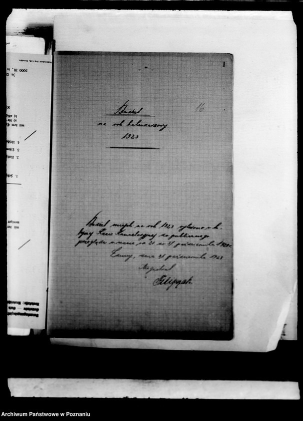 Obraz 20 z jednostki "Podatki Komunalne miasta Zduny"