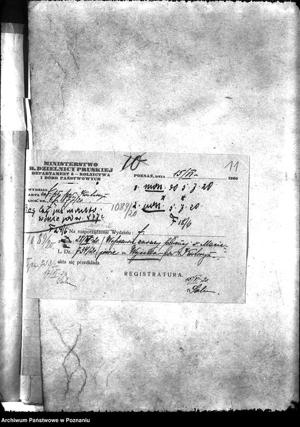 Obraz 15 z jednostki "Zaraza płucna - Krotoszyn"