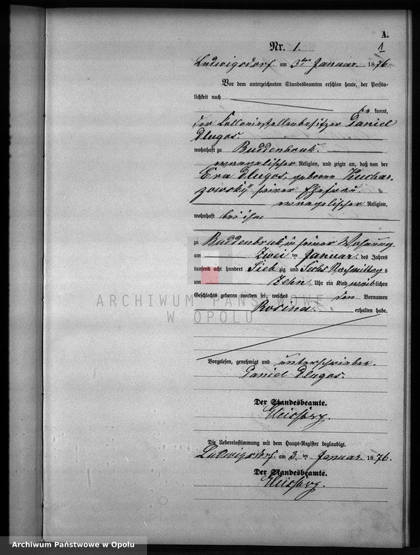 image.from.unit.number "Geburts-Neben-Register Standesamts Ludwigsdorf pro 1876"