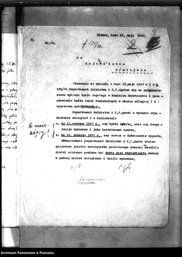 Obraz 13 z jednostki "Zaraza płucna - Jarocin"