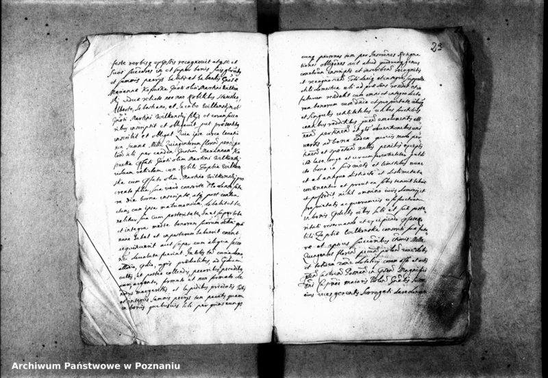 Obraz 6 z jednostki "Inscriptiones [inducta]"