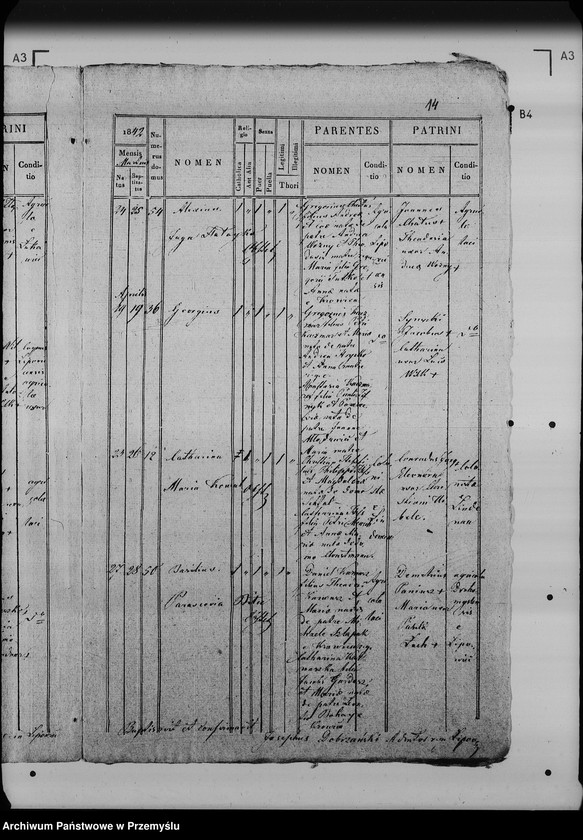 image.from.unit.number "[Kopie ksiąg metrykalnych parafii Lipowiec (dekanat Lubaczów)]"