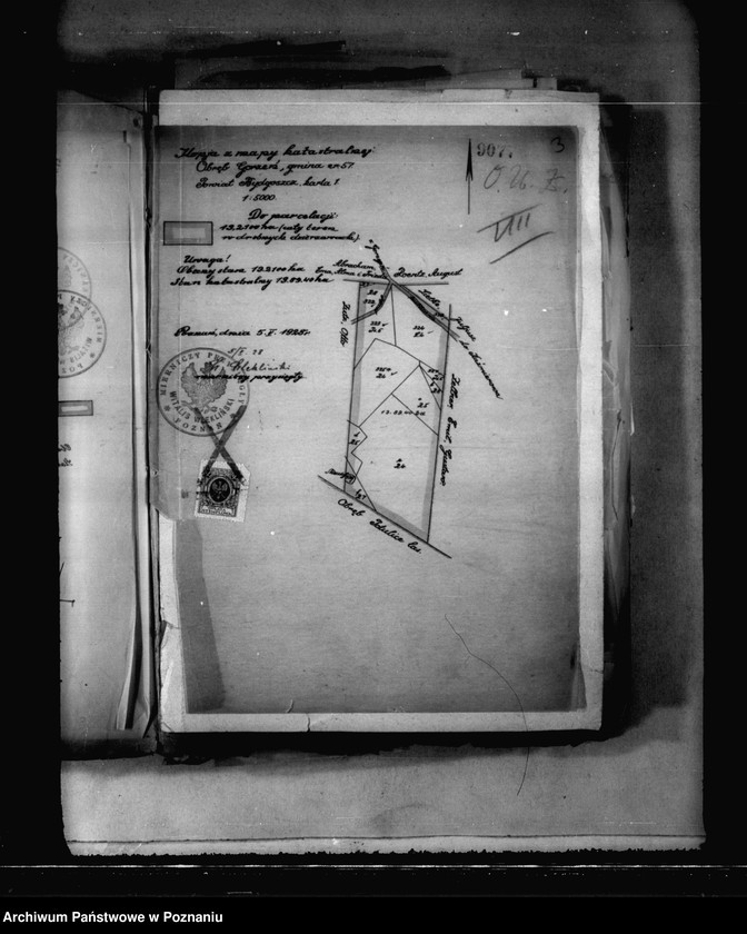 Obraz 7 z jednostki "Majętności Potulice powiatu bydgoskiego przymusowy wykup"