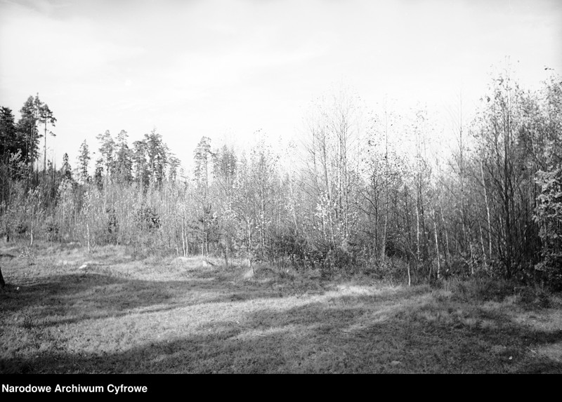 Obraz z zespołu "Archiwum fotograficzne Henryka Poddębskiego"