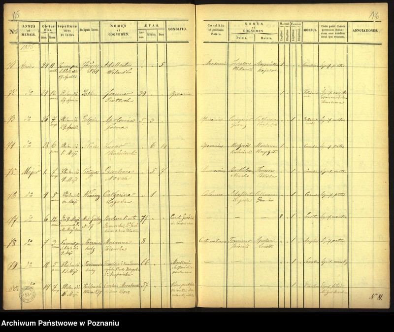 Obraz 11 z jednostki "Księga zgonów"