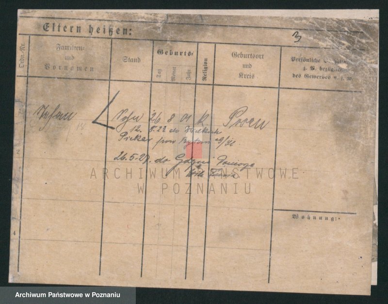 Obraz 3 z jednostki "Lewandowski (żonaci i wdowy)"