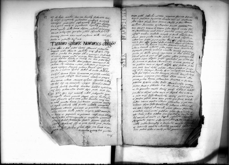 Obraz 11 z jednostki "Inscriptiones [inducta]"