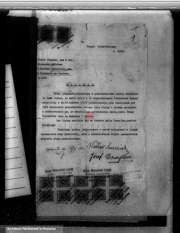 Obraz 6 z jednostki "Zatwierdzenie projektu planu gospodarstwa leśnego dla lasów majątku Lipiny powiatu kolskiego"
