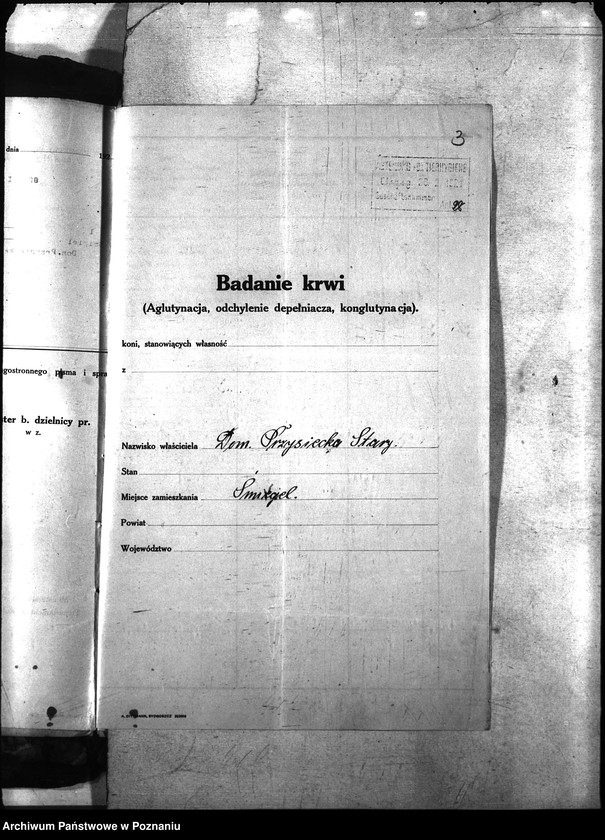 Obraz 7 z jednostki "Nosacizna - Śmigiel"