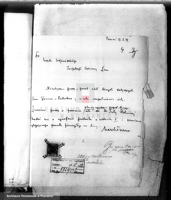 Obraz 8 z jednostki "Las majętność Słomowo-Pacholewo powiat obornicki"