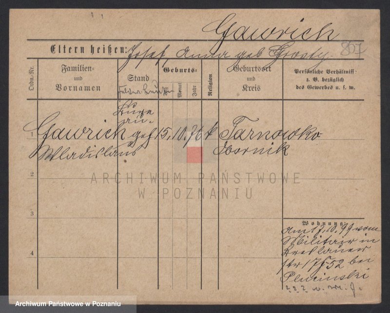 Obraz 12 z jednostki "Gaworzewski - Gągorek"