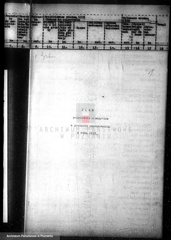 Obraz 5 z jednostki "Plan zalesiania majątków w powiecie czarnkowskim"