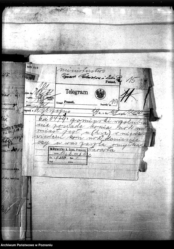 Obraz 19 z jednostki "Nosacizna - Wąbrzeźno"