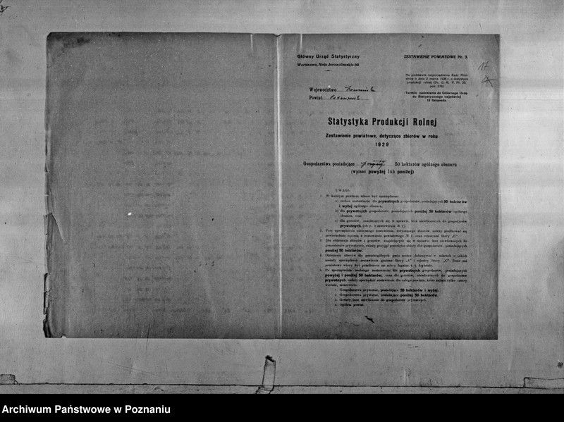 Obraz 19 z jednostki "/Statystyka produkcji rolnej - zestawienie powiatowe - Ostrów/"