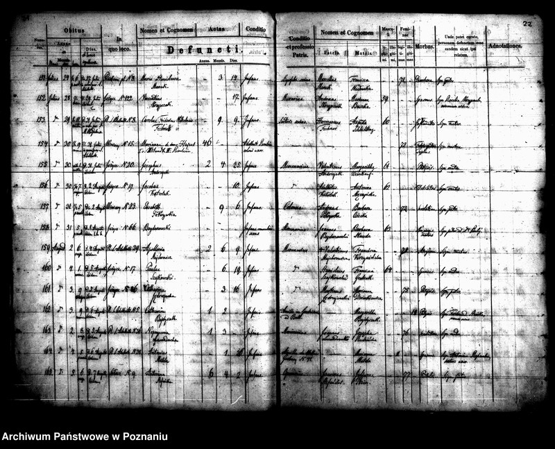 Obraz 13 z jednostki "Księga zgonów"