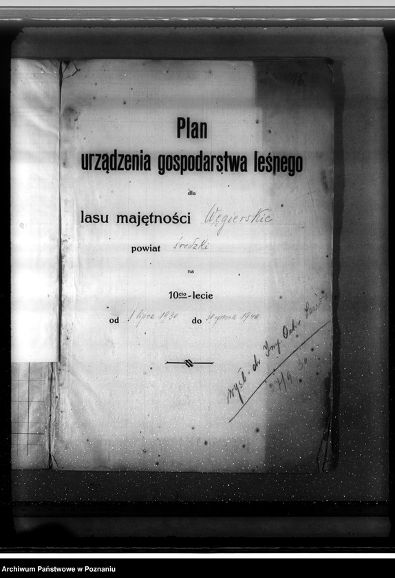 Obraz 20 z jednostki "Majętność leśna Węgierskie powiat średzki [opis lasu i plan cięć]"