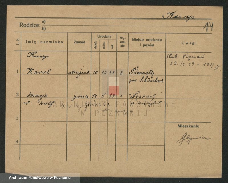 Obraz 14 z jednostki "Knop - Knytel"