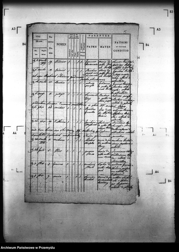 image.from.unit.number "[Kopie ksiąg metrykalnych parafii Pełniatycze z filiami Cząstkowice, Czelatyce, Roźwienica, Rożniatów, Rudołowice, Wola Roźwienicka (dekanat Pruchnik)]"