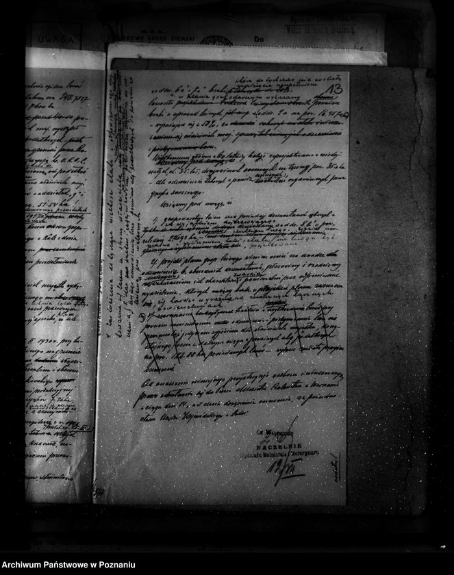 Obraz 17 z jednostki "Zatwierdzenie projektu planu gospodarczego dla lasu majątku Brudzew powiat turecki"