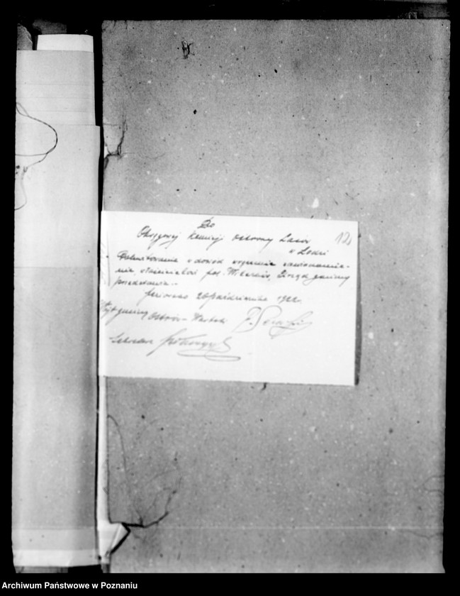 Obraz 17 z jednostki "Lustracja lasów majątku Wilczków powiat turecki"