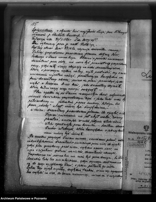 Obraz 20 z jednostki "Majętność leśna Linie w powiecie nowotomyskim"