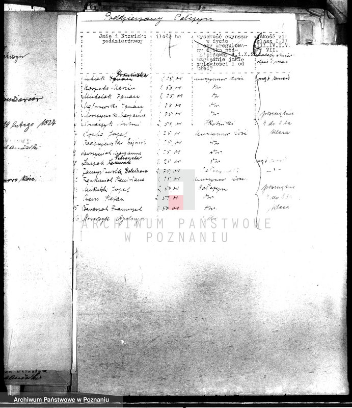 Obraz 13 z jednostki "Poddzierżawy majątku państwowego Pałczyn"