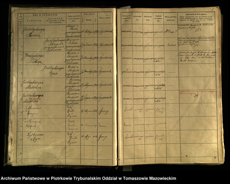 Obraz 5 z jednostki "[Księga ludności stałej miasta Brzezin tom I]"