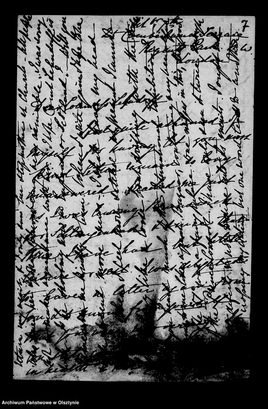 image.from.unit.number "/E. Stewart, Mary Stebush, Laura Francis, May A. Szkes, R. Kossentyn, Florence Grenfell R. H. Saylor u. a. an Anna Gfin Lehndorff u. an Hahn Kuchelmiss/"