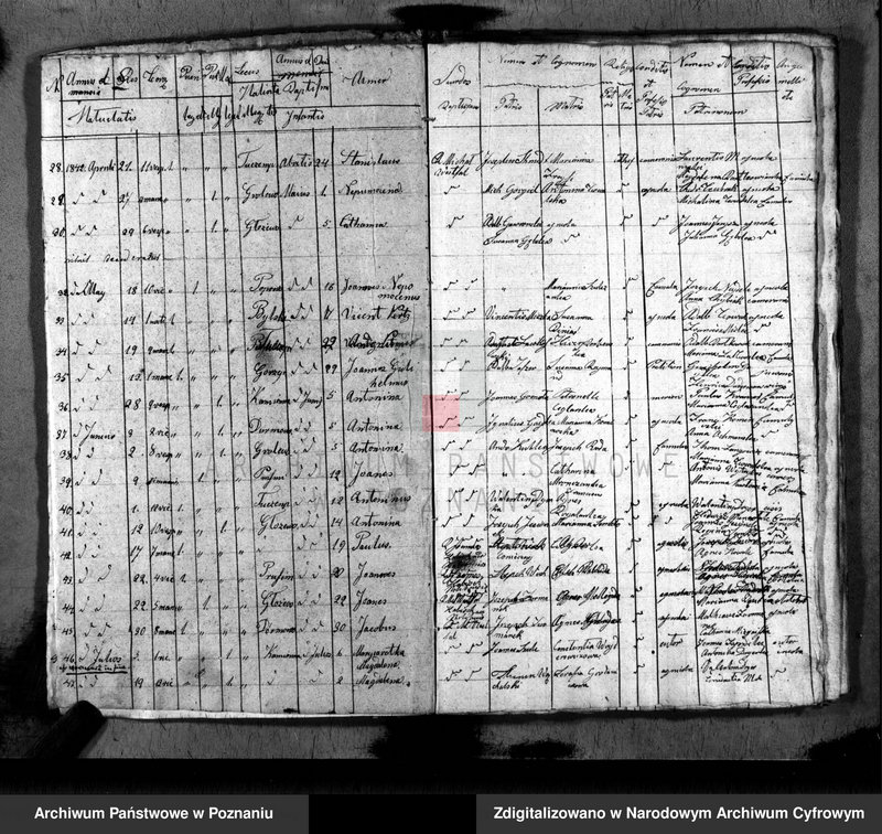 image.from.unit.number "Duplikat baptisatorum, copulatorum, mortuorum"