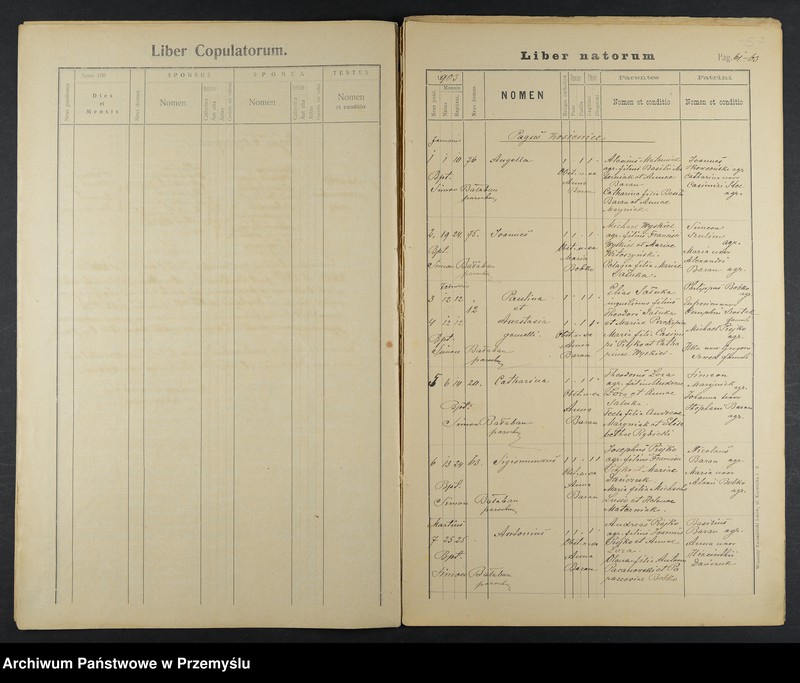image.from.unit.number "Extractus e libris metricalibus copulatorum natorum et mortuorum dioecesis Premisliensis decanatus Pruchnicensis parochiae Kosienicensis ex Anno 1903"