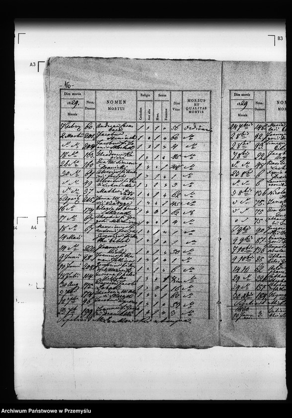 Obraz 20 z jednostki "[Kopie ksiąg metrykalnych parafii Trościaniec (dekanat Niemirów)]"