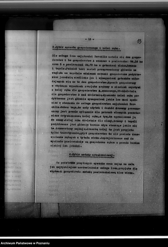 Obraz 17 z jednostki "Program urządzania gospodarstwa leśnego majętności Brachlin -powiat kościański"