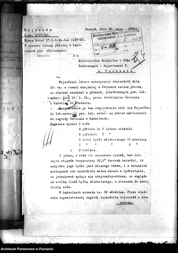 Obraz 8 z jednostki "Zaraza płucna - Odolanów"