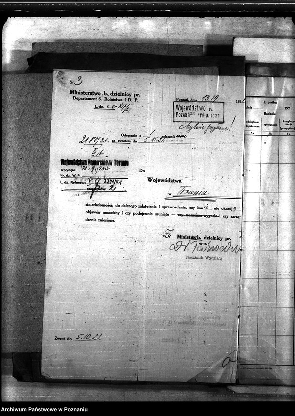 Obraz 7 z jednostki "Nosacizna - Wąbrzeźno"