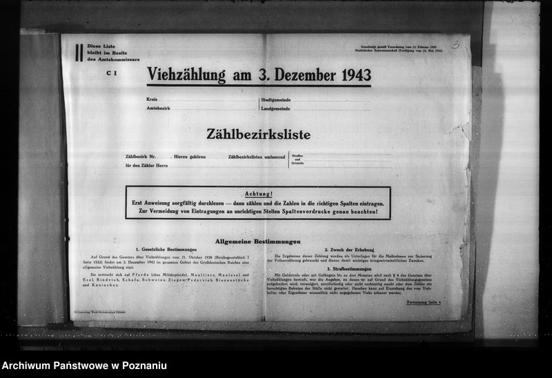 Obraz 7 z jednostki "Korespondencja, formularze i zestawienia wyników w zwiazku ze spisem bydła"