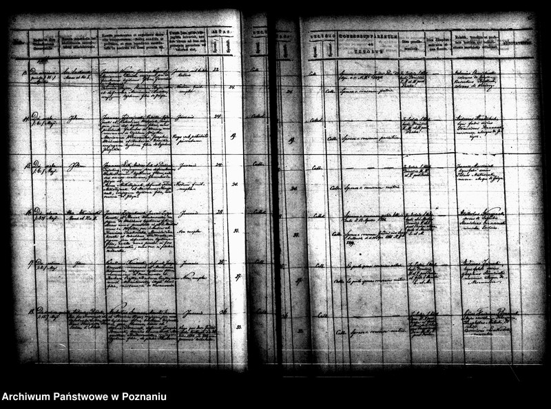 Obraz 8 z jednostki "Księga małżeństw"
