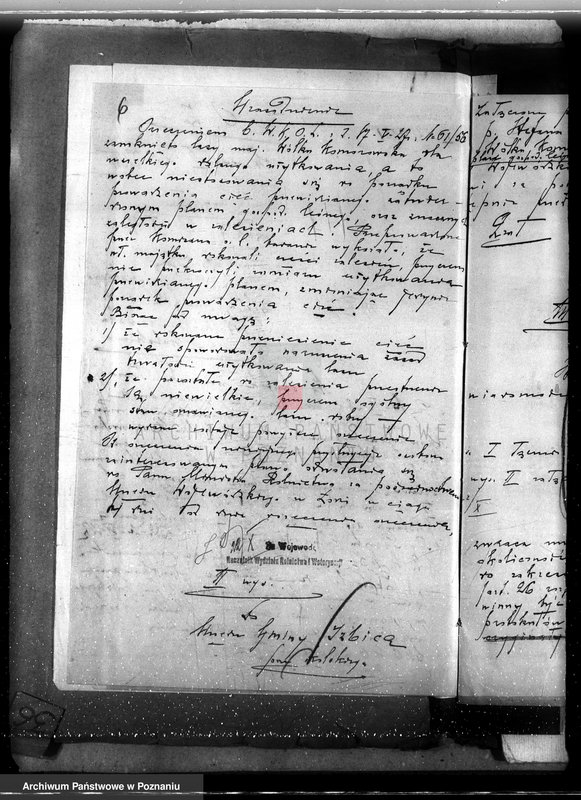 Obraz 10 z jednostki "Sprawa zniesienia nakazu zabraniającego prowadzenia użytkowania lasu w majątku Wólka-Komorowska powiat kolski gmina Izbica"