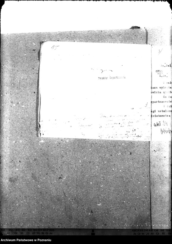 Obraz 19 z jednostki "Okólniki"