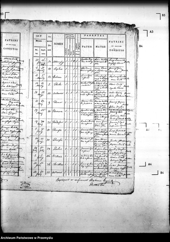 Obraz 18 z jednostki "[Kopie ksiąg metrykalnych parafii Małastów z filiami Ropica Ruska, Pętna (dekanat Gorlice)]"