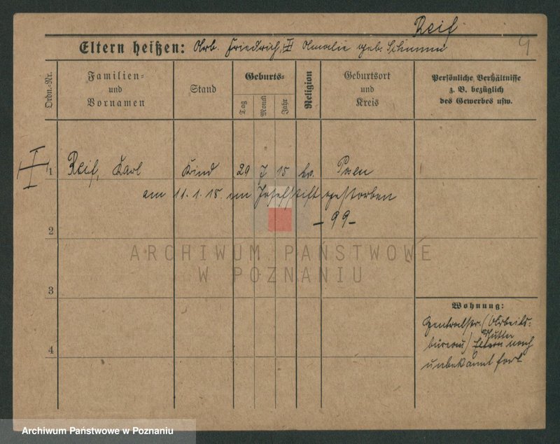 Obraz 6 z jednostki "Rajf - Rajman (Rei...)"