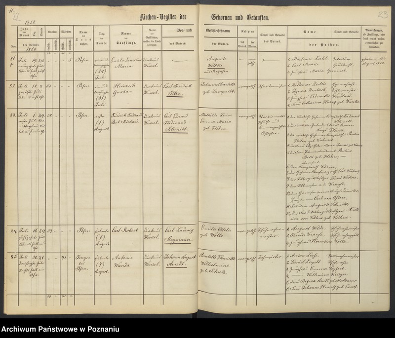 Obraz 14 z jednostki "Verzeichniss der Gebornen und Getauften, Getrauten, Verstorbenen"